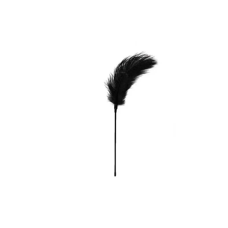 Plumero Negro - Largo – BDSM/Accesorios