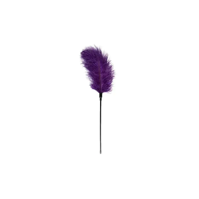 Plumero Púrpura – BDSM/Accesorios