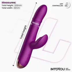 Sendel Vibrador con Anillo de Bolas Internas Up and Down y Pulsación con App
