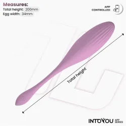 Huevo Vibrador con Bolas Internas con Rotación y APP USB