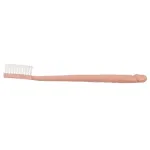 Cepillo de Dientes Forma de Pene