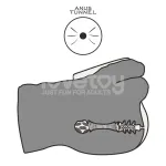 Streetgirls 16 Masturbador con Dildo