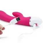 Vibrador Dreamer USB Rose Red