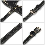 Rebellion Reign Máscara de Gato