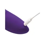 Vibrador No.3 Plum