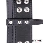 Jaula Pene Talla Única