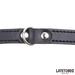 Jaula Pene Talla Única