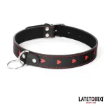 Collar con Correa 52 cm