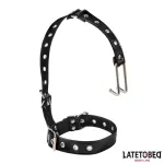 Collar con Gancho para la Nariz