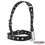 Collar con Gancho para la Nariz