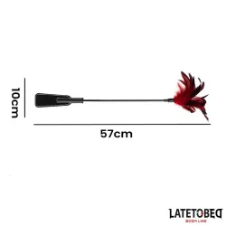 Pala con Plumas 2 en 1