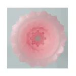 Alice Huevo Masturbador Rosa