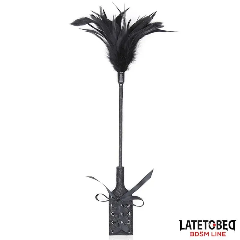 Multi Feathers Tickler and Lace Ribbon Paddle Comb – BDSM/Accesorios