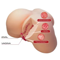 Masturbador Ano y Vagina 5.4 kg