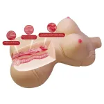 Masturbador Vagina y Ano 5 kg