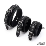 Set de Restricciones con Collar y Esposas