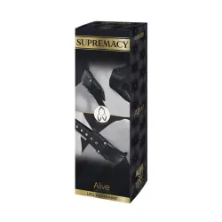 Restricciones Supremacy