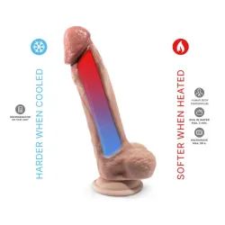 Dildo Mod 1 - 9