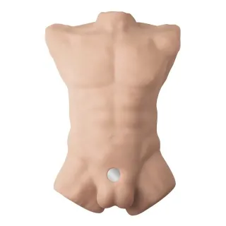 Apollo L Torso 54 cm