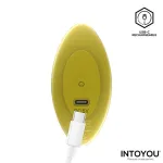 Auria Plug Anal con Vibración y Control Remoto USB-C