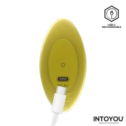 Auria Plug Anal con Vibración y Control Remoto USB-C