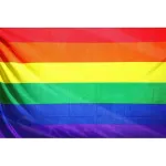 Bandera Orgullo LGBT 90 cm