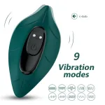 Vibrador de Braguita