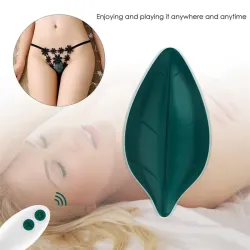 Vibrador de Braguita