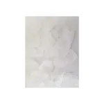 100 Pétalos Color Blanco