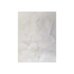 100 Pétalos Color Blanco