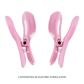 Surprise Box Huevo Vibrador y Pinzas para Pezones con Electro Estimulación Rosa